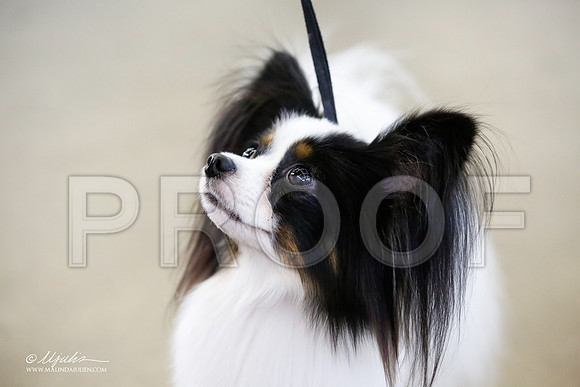_JJ_2026-DallasJul2015-HR3