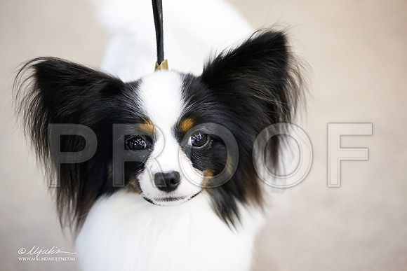 _JJ_2035-DallasJul2015-HR3