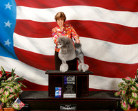 Poodle Miniature #18 Sun Maj WB Killian angie and Brenda Wood and Laurel Berg