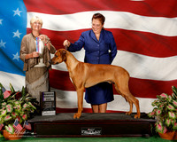Rhodesian Ridgeback #25 Sun RWD Chastain Shawna and Ashli Warren Judge Debra L thornton