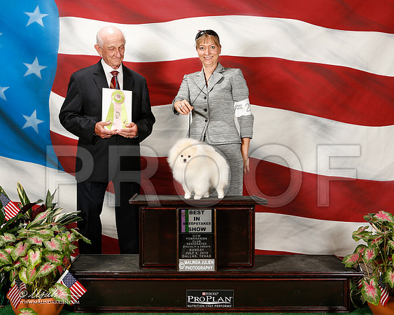 _ST_6174-2-DallasJul2015-HR3