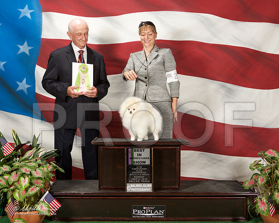 _ST_6175-DallasJul2015-HR3