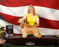 Cocker Spaniel ASCOB #14 Sun Maj BOW Lindner Diane agent Jessica A Brickett