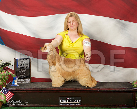 _ST_6265-DallasJul2015-HR3