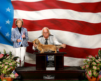 Dachshund #6 Fri Maj BOW Busby Lois Judge Francine W Schwartz