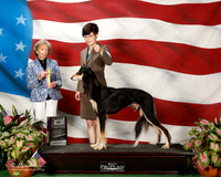 Saluki #15 Sun BOB Hix Hannah D Scott Pfeil Judge Francine W Schwartz