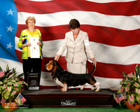 Basset Hound #9 G4 Calhoun Sharon and Steve Calhoun and Bette Williams Judge Laurie Telfair