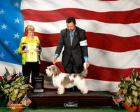 PBGV #7 Sun G3 Duelks Brad and Deborah King and B Major and N Frost Agent Clint Livingston