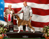 Boxer #21 Sun G2 Robbins Cheryl and Keith Agent Michael Shepherd Judge Debra Thornton