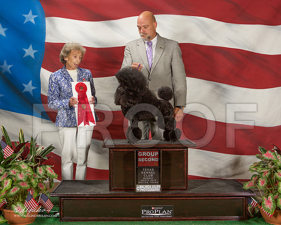 _ST_6412-DallasJul2015-HR3