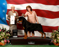 Rottweiler #25 Sun G4 Eldred Holley Dr Mrs Back Agent Holley Eldred Judge Debra Thornton