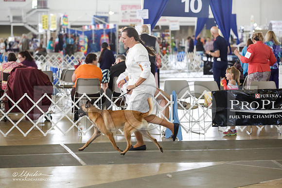 _JJ_2107-DallasJul2015-HR3