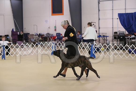 Cane-5129