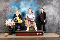 Elkhound #7 Thur G3 Judge Polly Smith