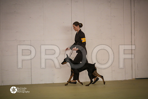 Dobe-7437-HtoJan14-HR