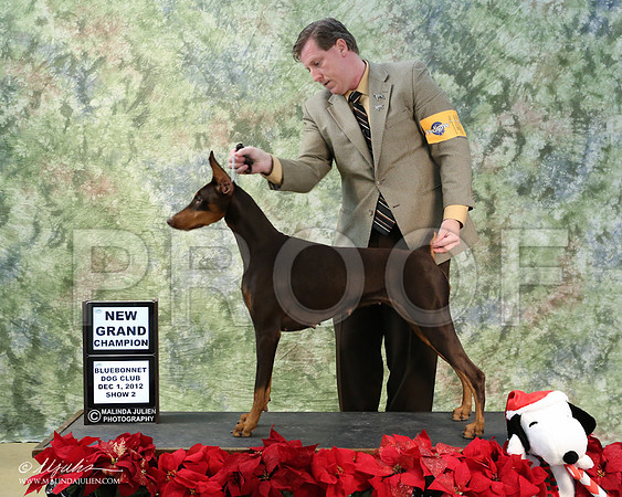 dobe-5483-LR