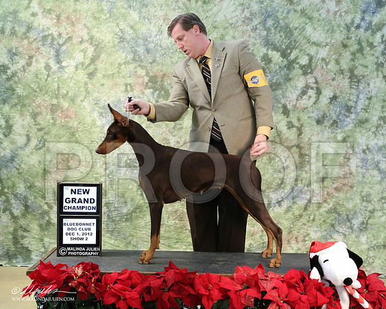 dobe-5498-LR