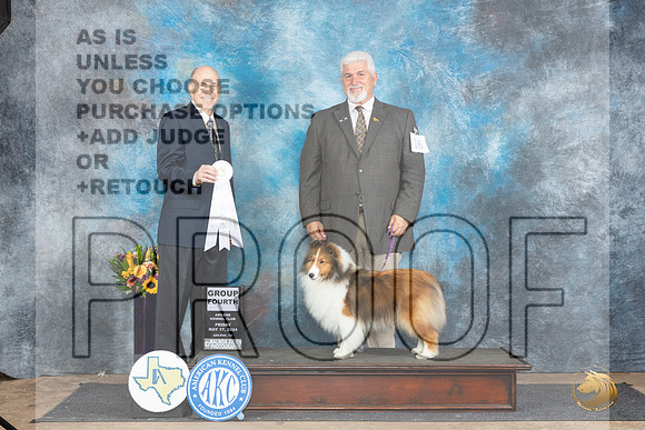 Shetland Sheepdog #16 Fri G4 Judge Larry Abbott__JP_0054_Abilene_2024_HR3