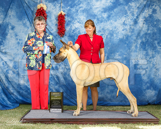 _ST_3754e-2-AlamogordoOct2014-HR3