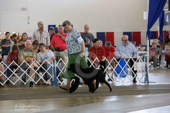 _JJ_1839-DallasJul2014-HR3