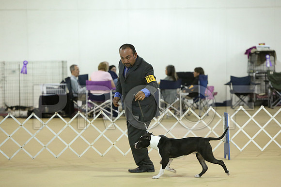 APBT-6779