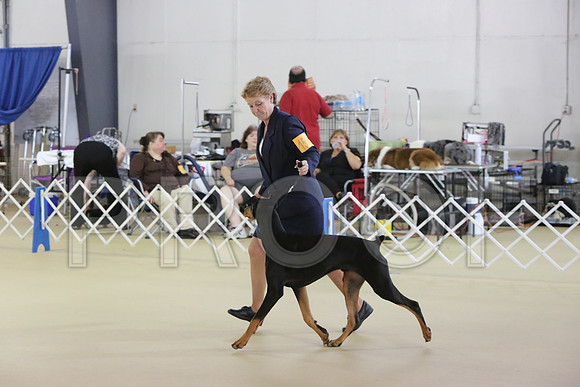 Dobe-5184