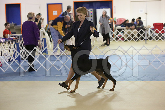 Dobe-9058-LR
