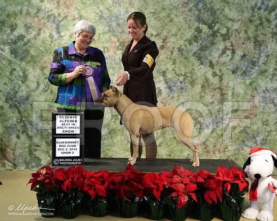 APBT-5768-LR