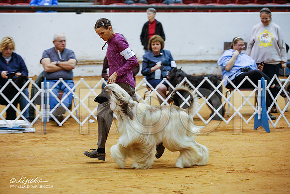 _JJ_6491-GlnRoseJan2015-HR3
