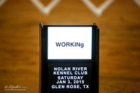 Working Group Sat Ring