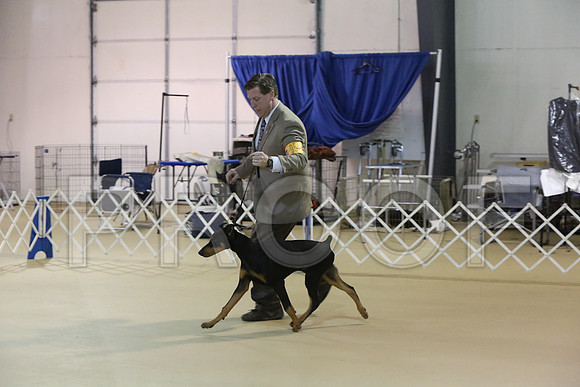 BISpup-9759-LR