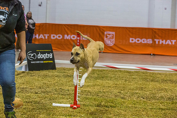 Agility ANYA PromoJJL_0984_Shreveport_2022_HR3