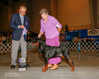 Rottweiler #9 Thus NC WD Olson Lew and Jeff Shaver Judge Stephen J Hubbell