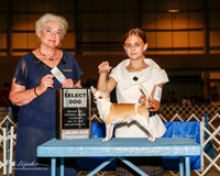 Chihuahua #17 Thurs SD Landers Andrea D and Tiara C Tuck Judge Ruth H Zimmerman