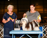 Havanese #9 Thurs BOB Kogge Chuck and Kathy Agent Pam LaPerruque Judge Ruth H Zimmerman
