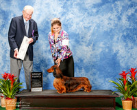 Dachshund Longhaired #11 Thurs G4 Guimbellot Joyce Agent Blair A Aguillard Judge Stephen J Hubbell