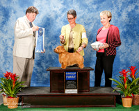 Norwich #5 Thurs G1 Lentz Nancy and Dwain Agent Betty M Bossio Judge Charles Olvis