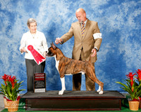 Boxer #11 Thurs G2 Robbins cheryl and Keith Agent Michael Shepherd Judge Christina Hubbell