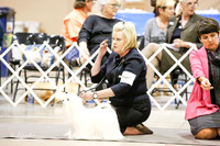 Maltese #5 Group Thurs Ring