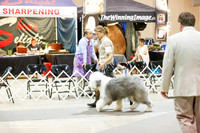 Old English Sheepdog #5 Hoelting Diane Thurs Ring