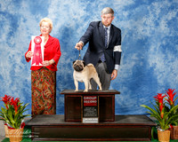 Pug #19 Thurs G2 Caldwll Patti and tichard Agent Christopher Keith Judge Tomas alane Gomez