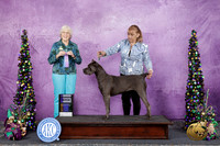 Amber Wagers Alexandria LA 2026