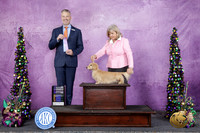 Andrea Baldwin Alexandria LA 2026