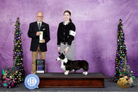 Heather Miller Alexandria LA 2026