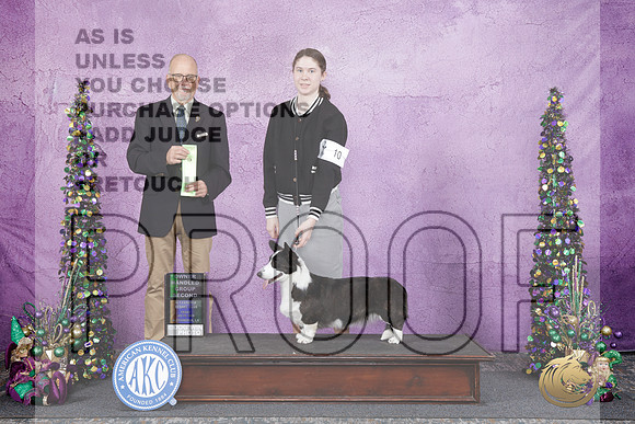 Cardigan Welsh Corgi #20 Fri OHG2 Judge John Constantine Amodei-_WP_5166e_Alexandria LA 2026-HR3
