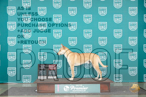 Carolina Dog # Fri G2 Judge Katherine Short__JP_2676_Premier_2024_HR3