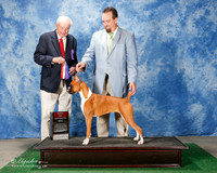 Boxer #20 Thurs BOS Roland Lynette and Ginger Killman JudgeStephen J Hubbell