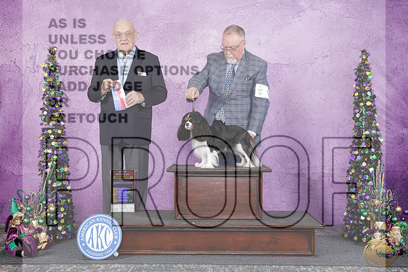 CKCS #14 Sun WB BOS NCH Judge Joe PurkhiserCKCS #14 Sun WB BOS NCH Judge Joe Purkhiser_WP_5786e-Alexandria LA 2026-HR3