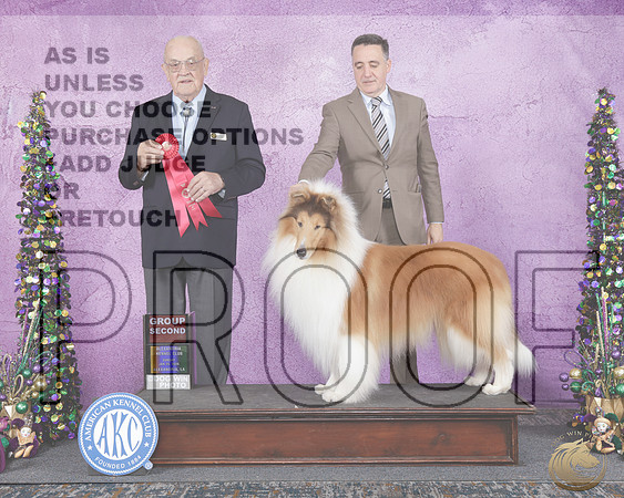 Collie Rough #11 Sun G2 Judge Joe PurkhiserCollie Rough #11 Sun G2 Judge Joe Purkhiser_WP_6009e-Alexandria LA 2026-HR3