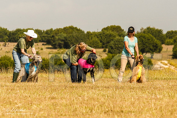 _MJ_4555-AfgBeltonOct2014-HR3